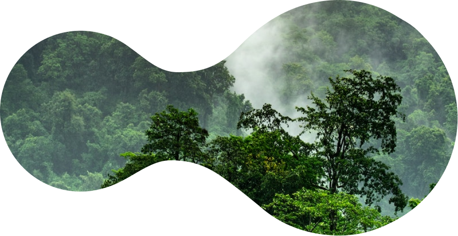 section content image